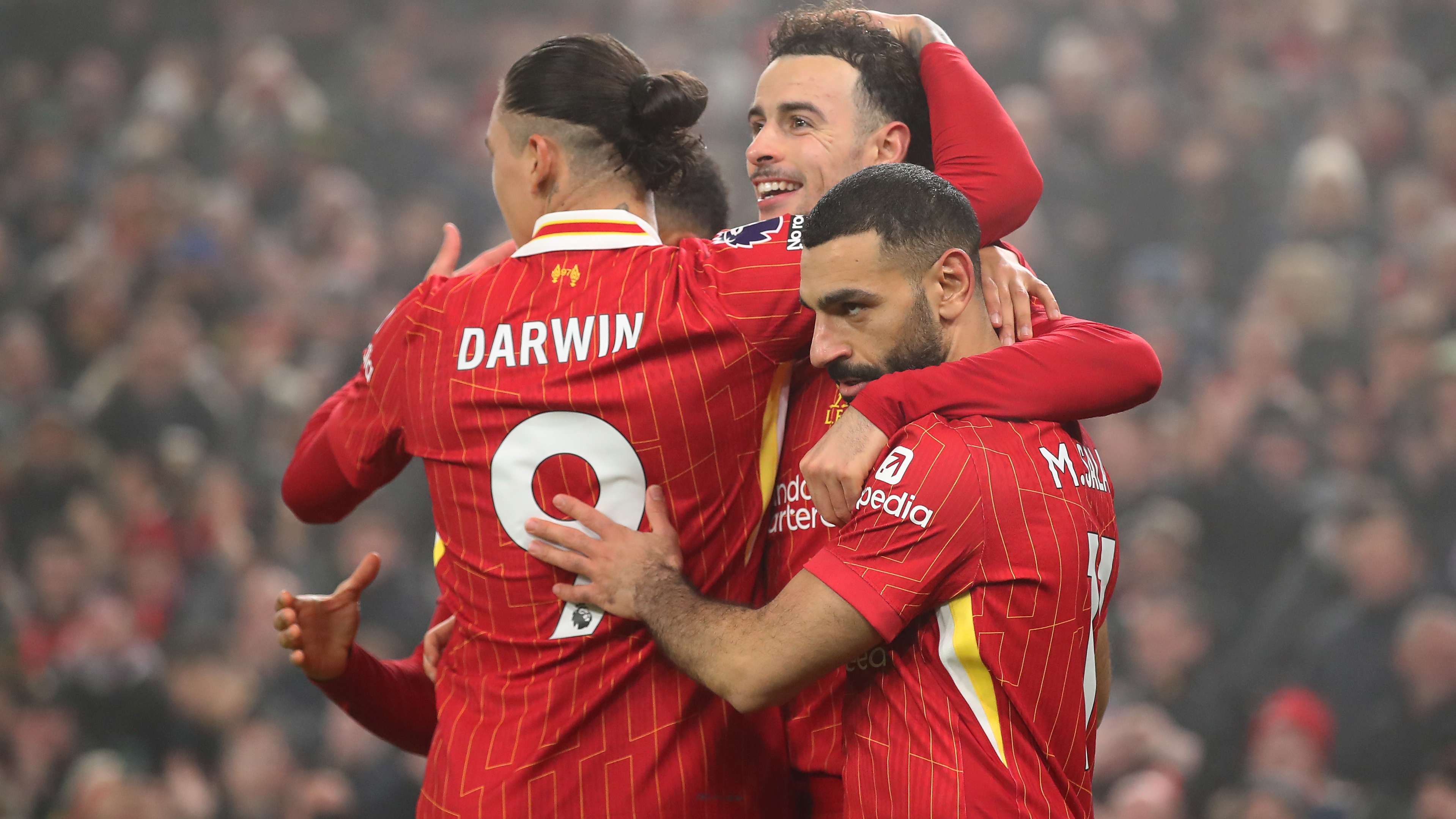 为球迷带来 为球迷带来